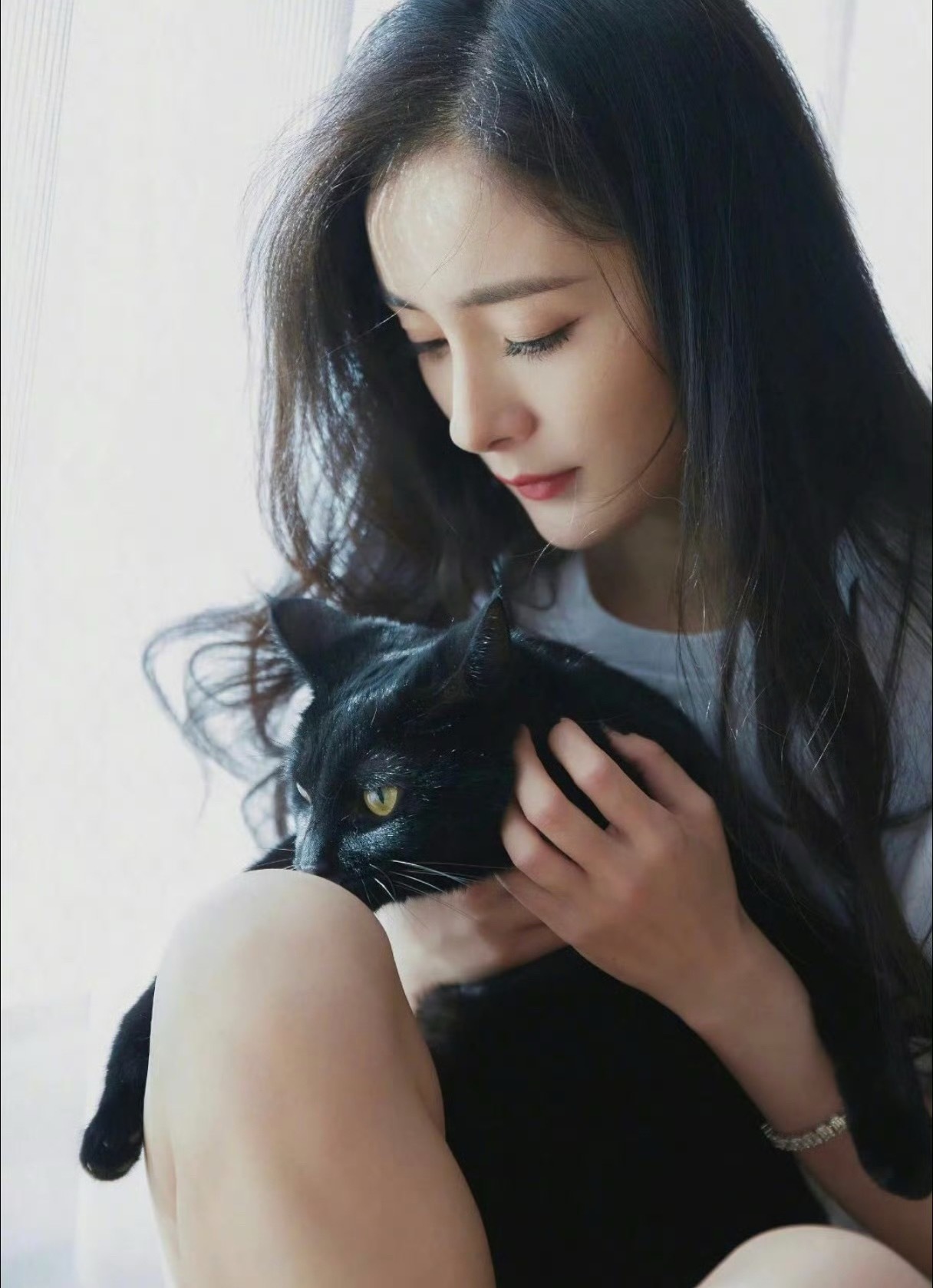 杨幂爱猫女明星时候杨幂杨幂杨幂