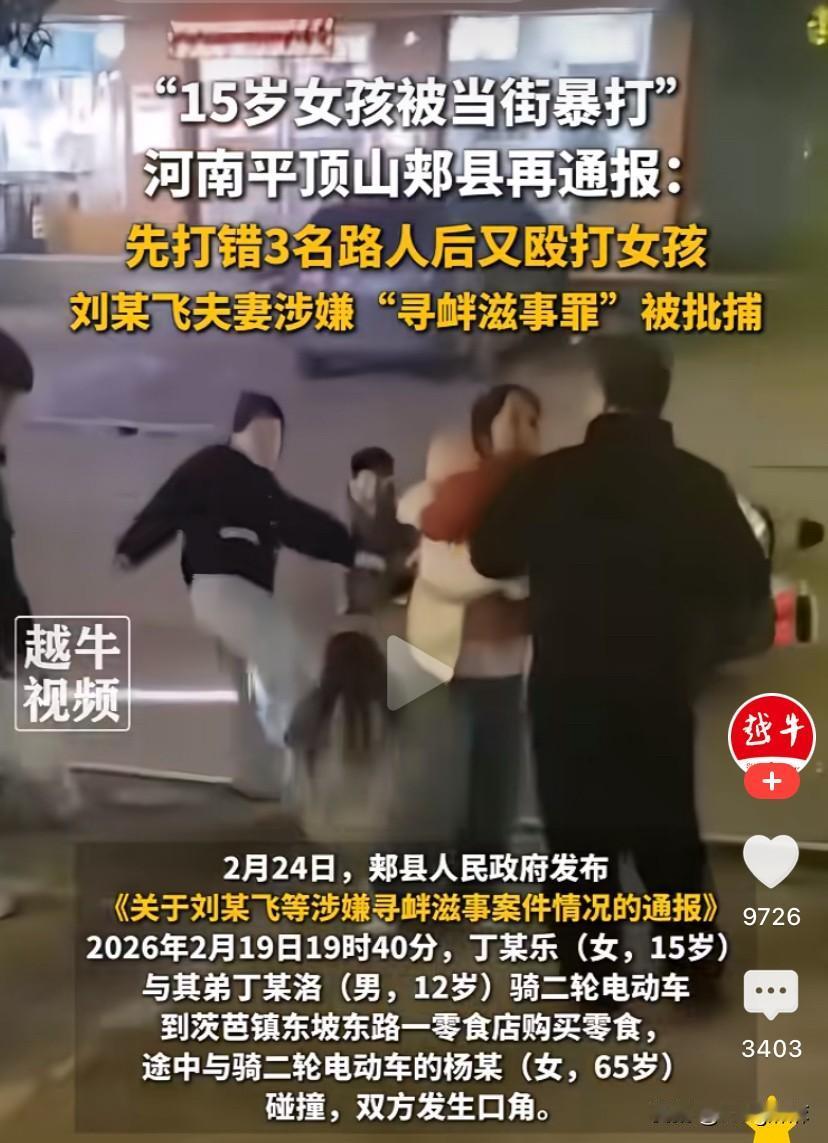 平顶山打人事件中，我注意到一个细节：在刘某飞打人时，其母亲和妻子都在身边，但