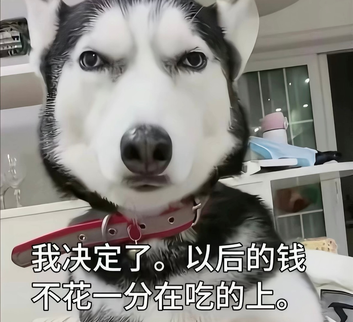 分享图片​​​