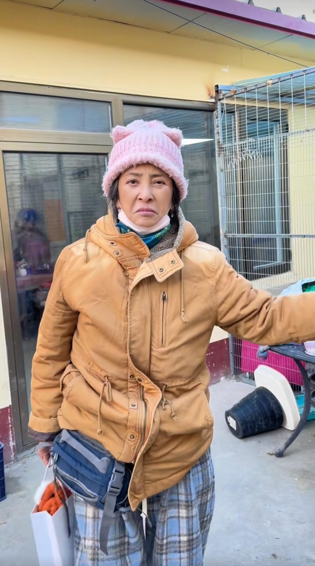 原来明星也喜欢流浪狗，不光喜欢，还收养，不光收养，还收养了一群。李勤勤这个老