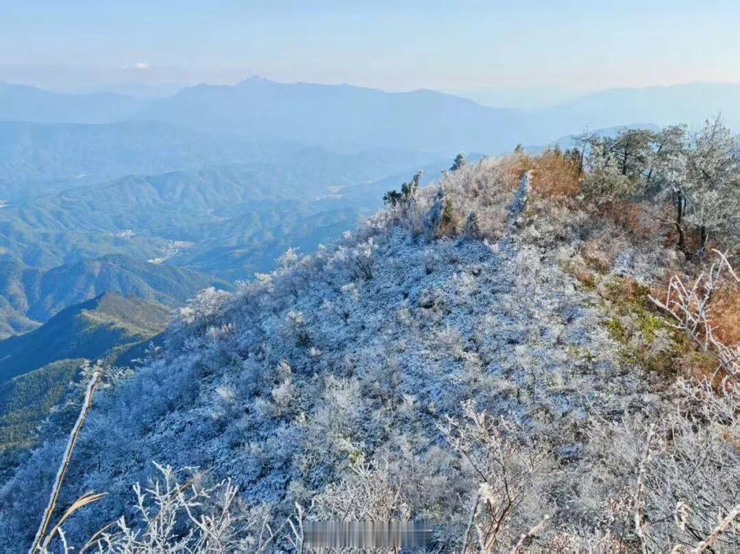 【今年首场大寒潮来袭，福建又要下雪了！强冷空气即将抵达福州……】18日至21