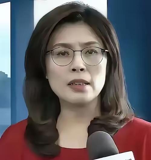 实在不行求大陆吧！国民党主席郑丽文发布声明：台湾现在快没气烧了。天然气库存只剩一