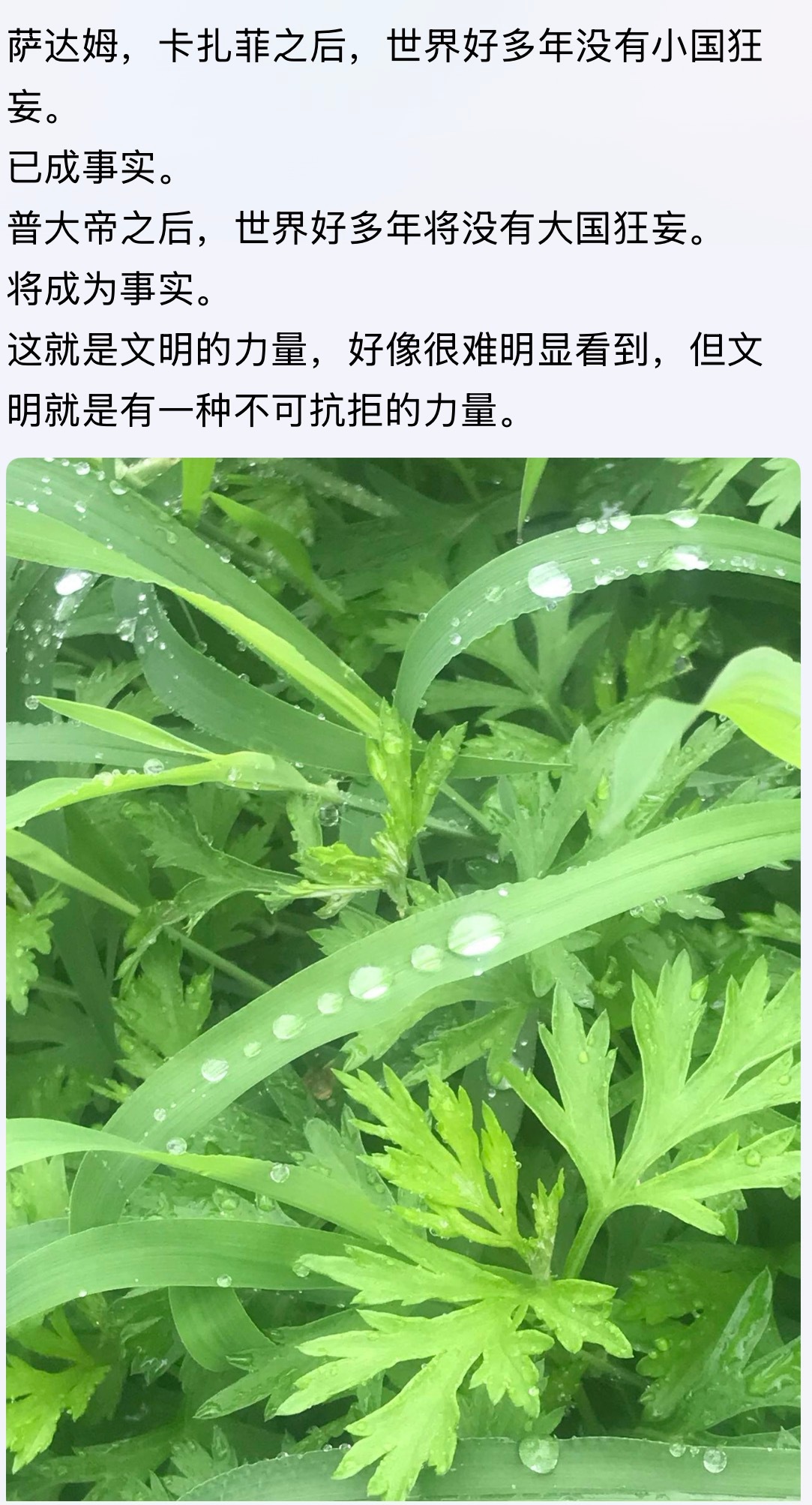 好哒文明的力量俄乌战争​​​