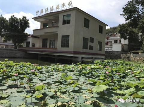 湖北罗田农村别墅