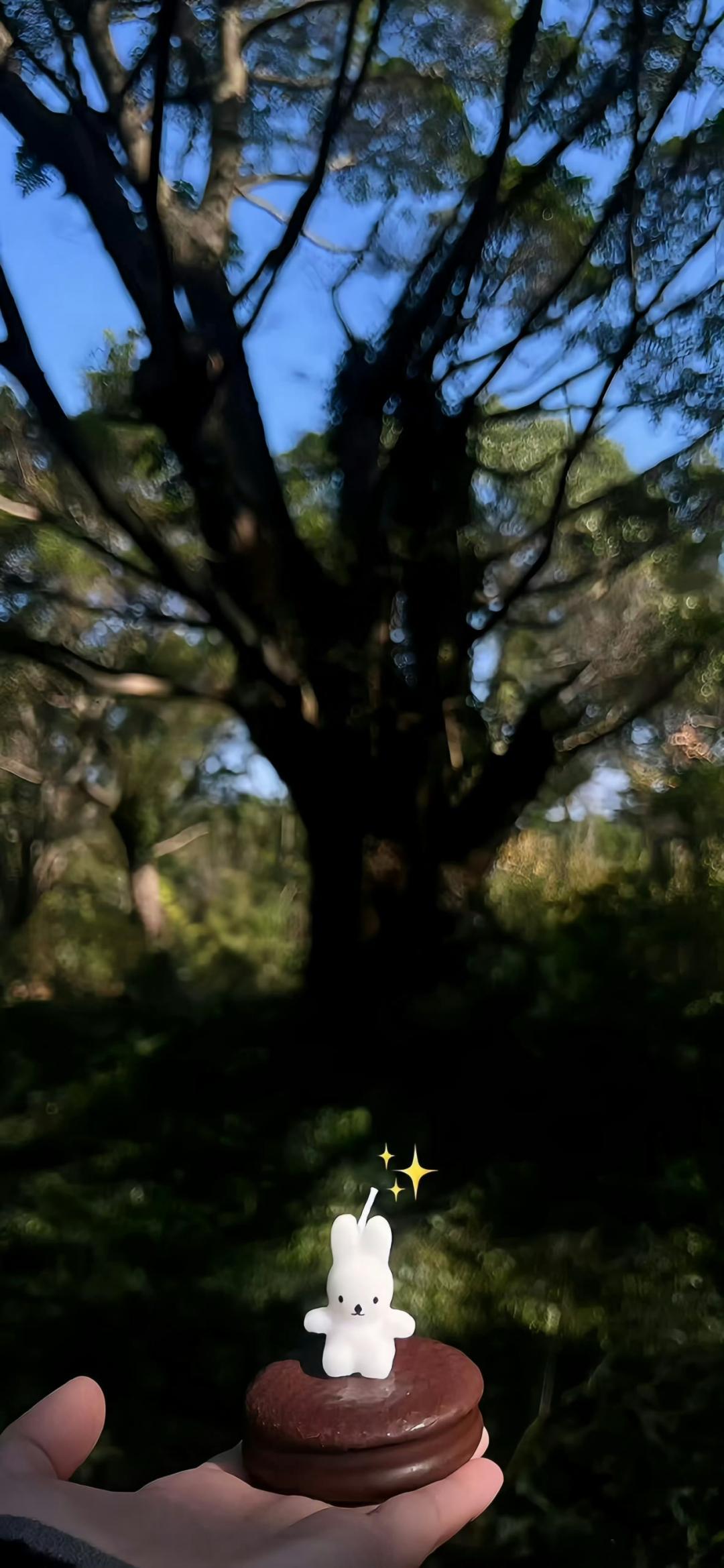 全屏高清壁纸丨聊天背景图丨大自然风景壁纸