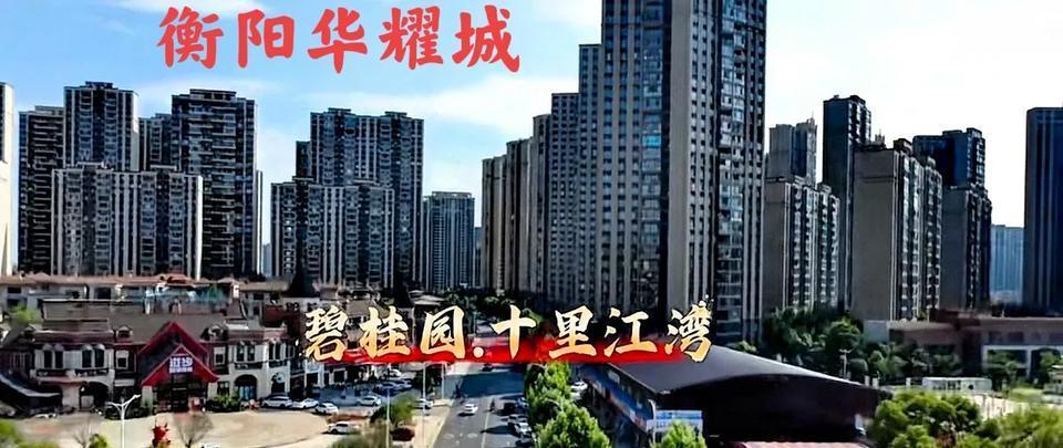 个人觉得，衡阳的经济越来越倒退了，发现衡阳这些年根本就没有引进什么大的大型企业，