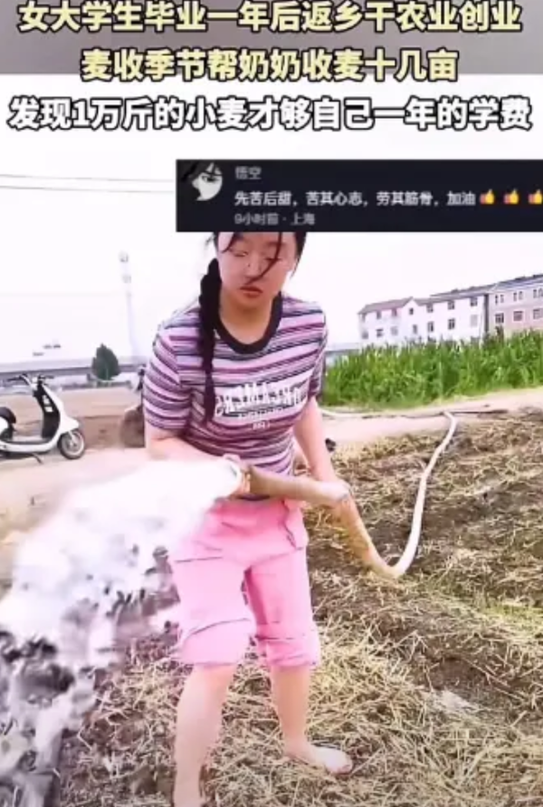 看哭了！女大学生帮奶奶割麦子，边割边哭，奶奶以为她是累了，心疼她让她歇歇。不料，