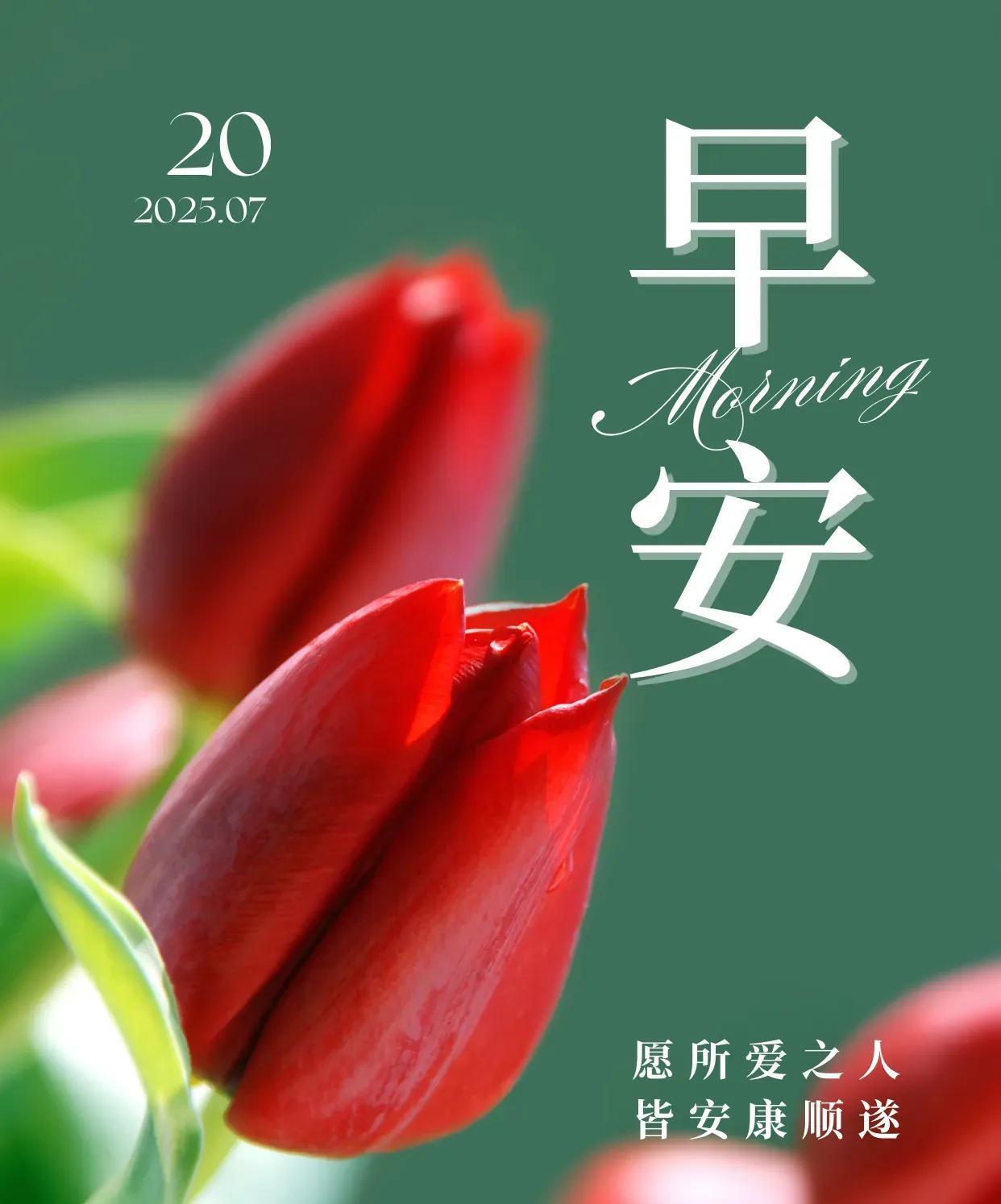 岁月如水流逝，季节悄然更替，人生不过短短数十年，如夏蝉般匆匆鸣唱。时间无情却也留