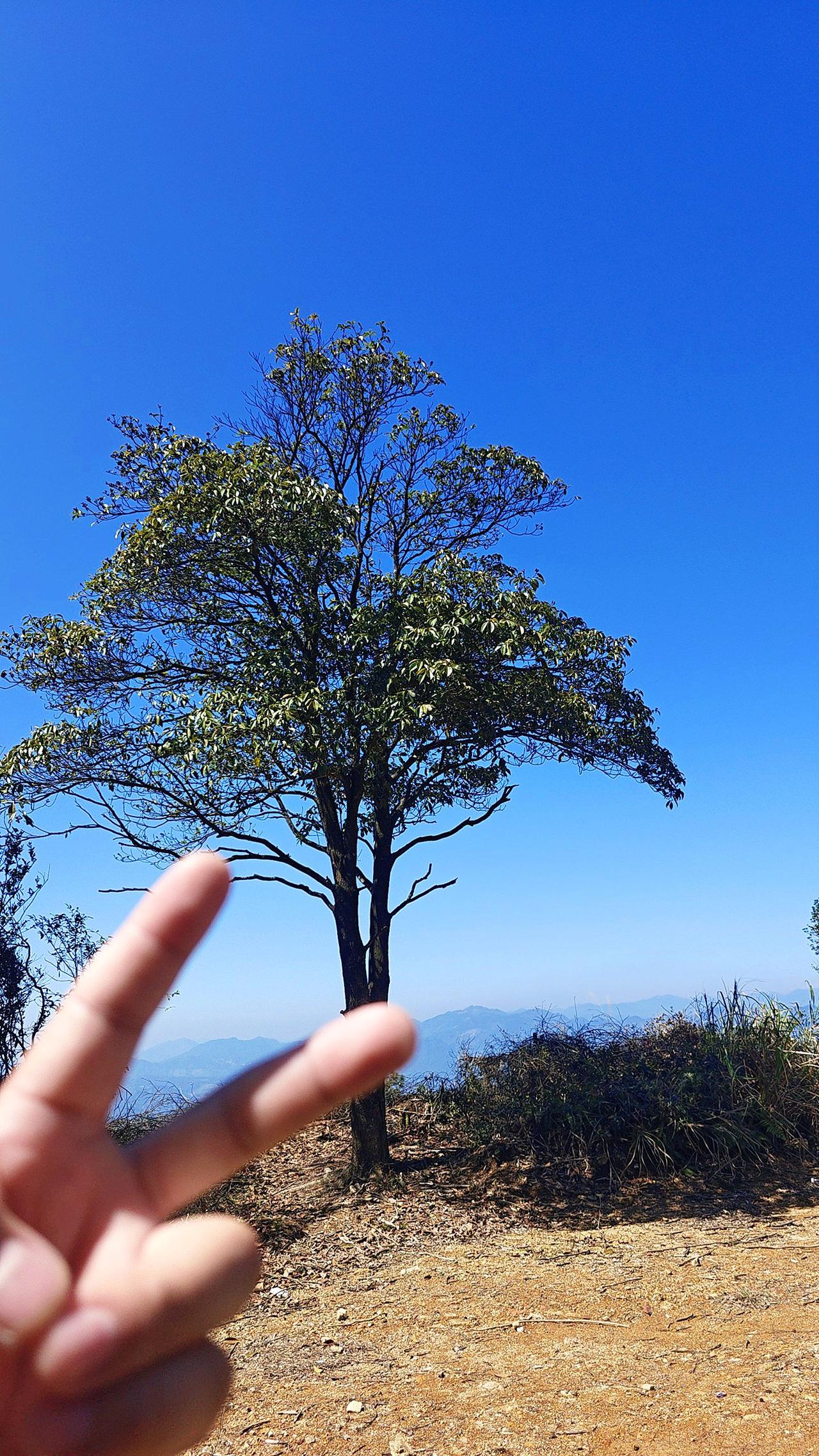 每当我找不到存在的意义