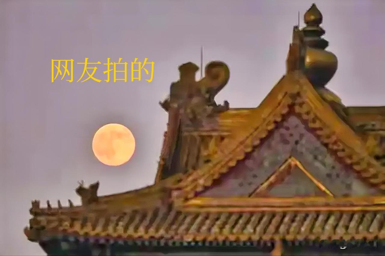 太真实！没人民币，超级月亮都看不清！看着大家拍的超级月亮🌙，我也心理