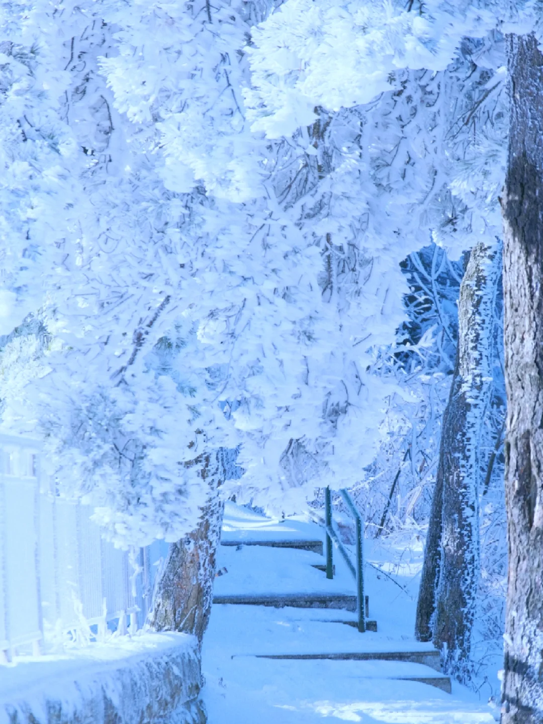 广州1.5h可直达一座不用爬的雪山❄️