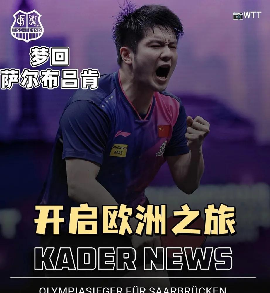 樊振东这回真是给国乒的兄弟们蹚了条新路子！以后咱们功成名就的老将们，也能潇洒“退