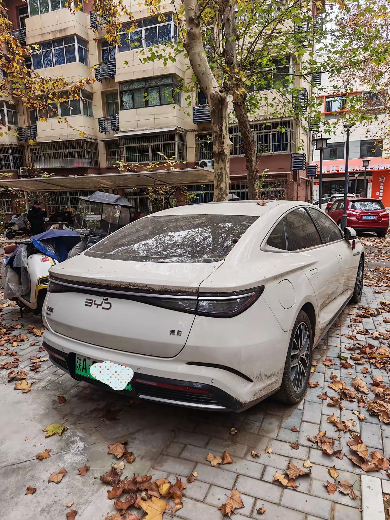 请大家想一下，如果你开的是油车，你会考虑10年之内换车吗？但如果你开的是电车，