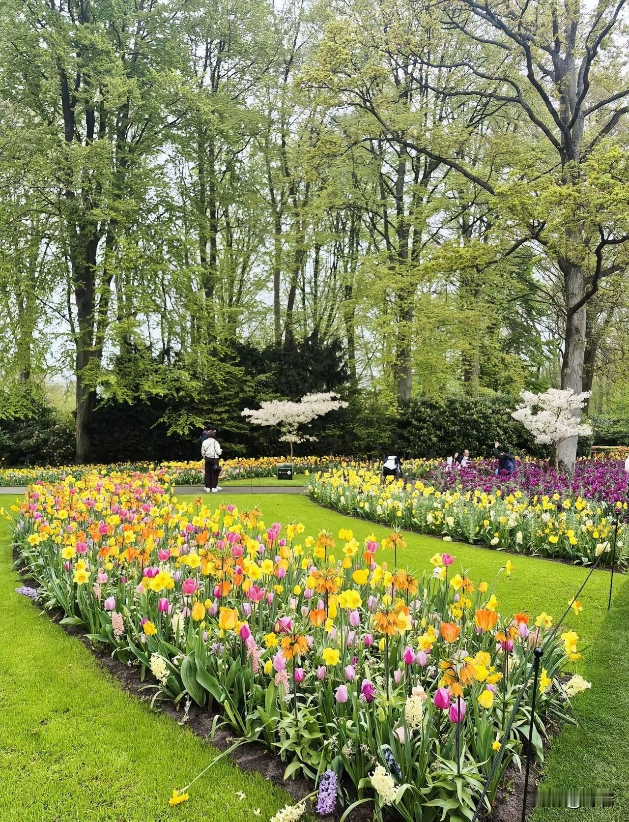 经营好友情圈的实用方法一、守住三条底线，朋友不会散1. 不占便宜，有