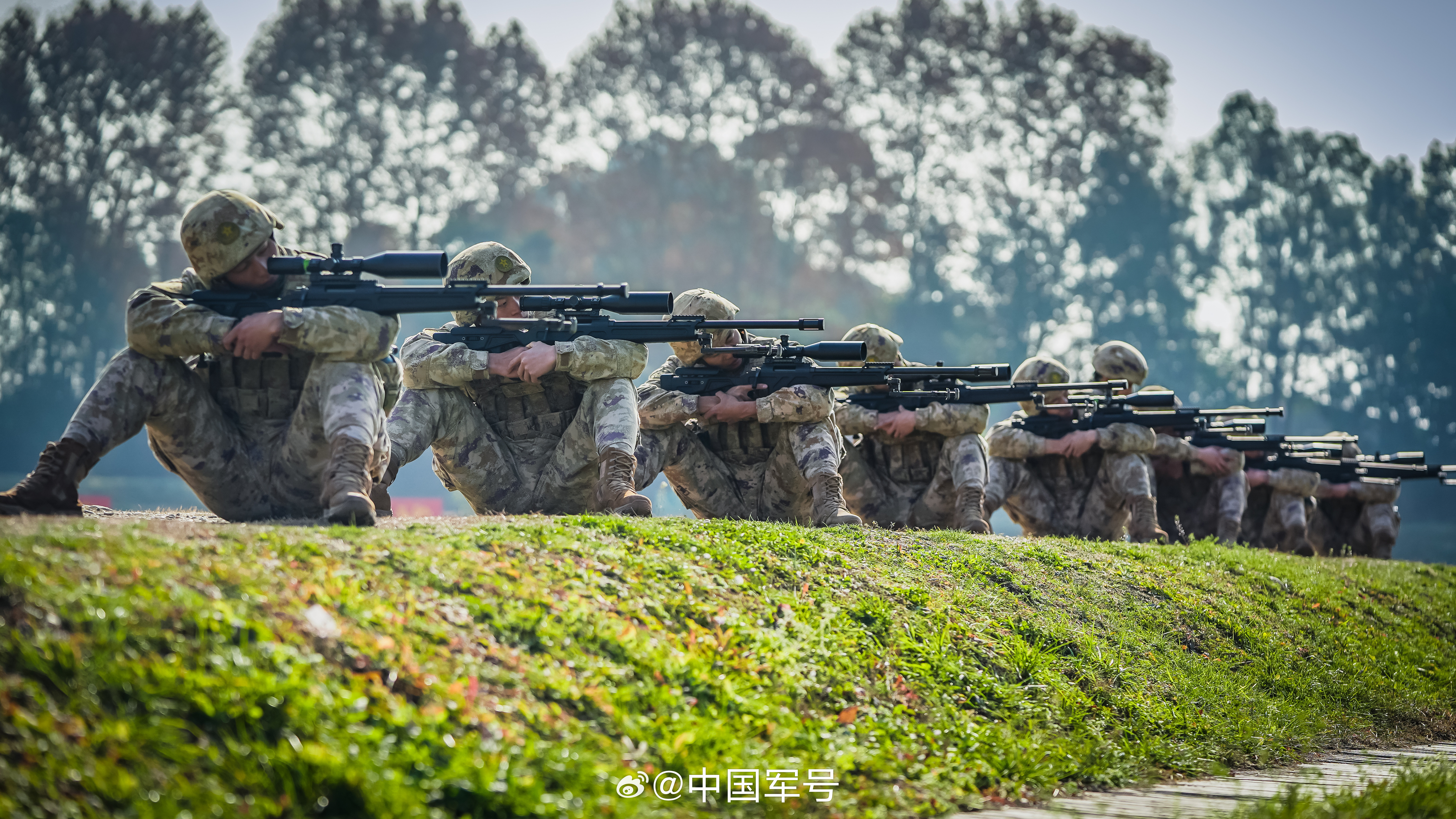 【淬火成钢！狙击手专业集训砺精兵】近日，陆军某旅组织狙击手专业集训。以战为训、以