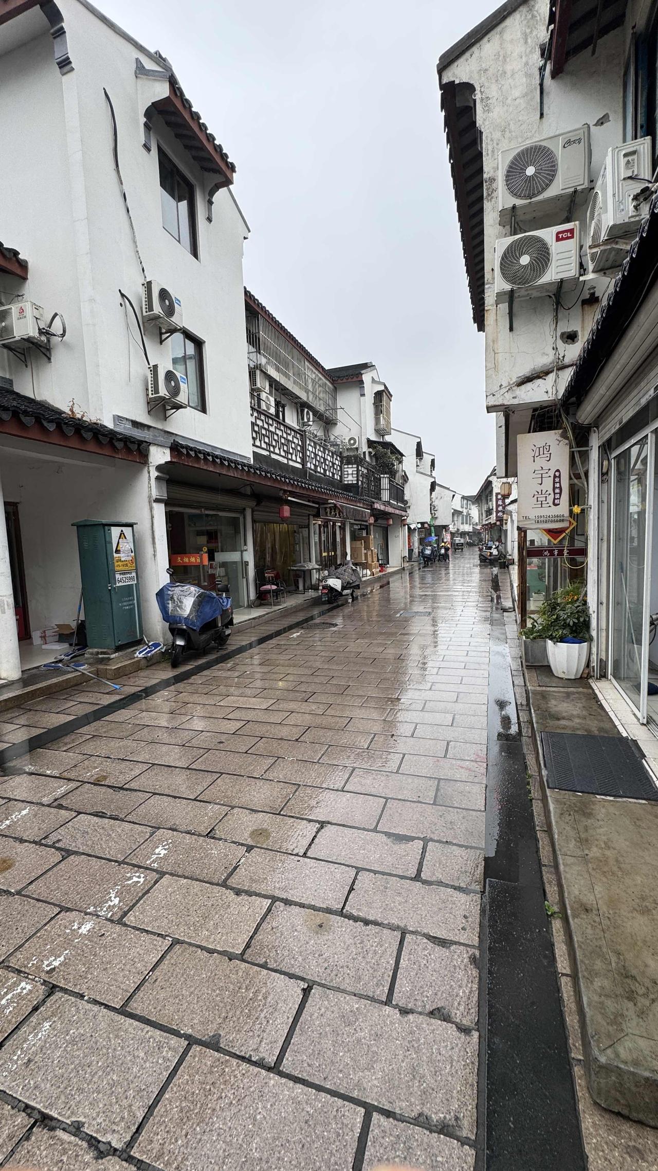 雨落苏州，花岗岩石板被洗得发亮。黛瓦凝露，白墙含烟，整条小街都静了下来。