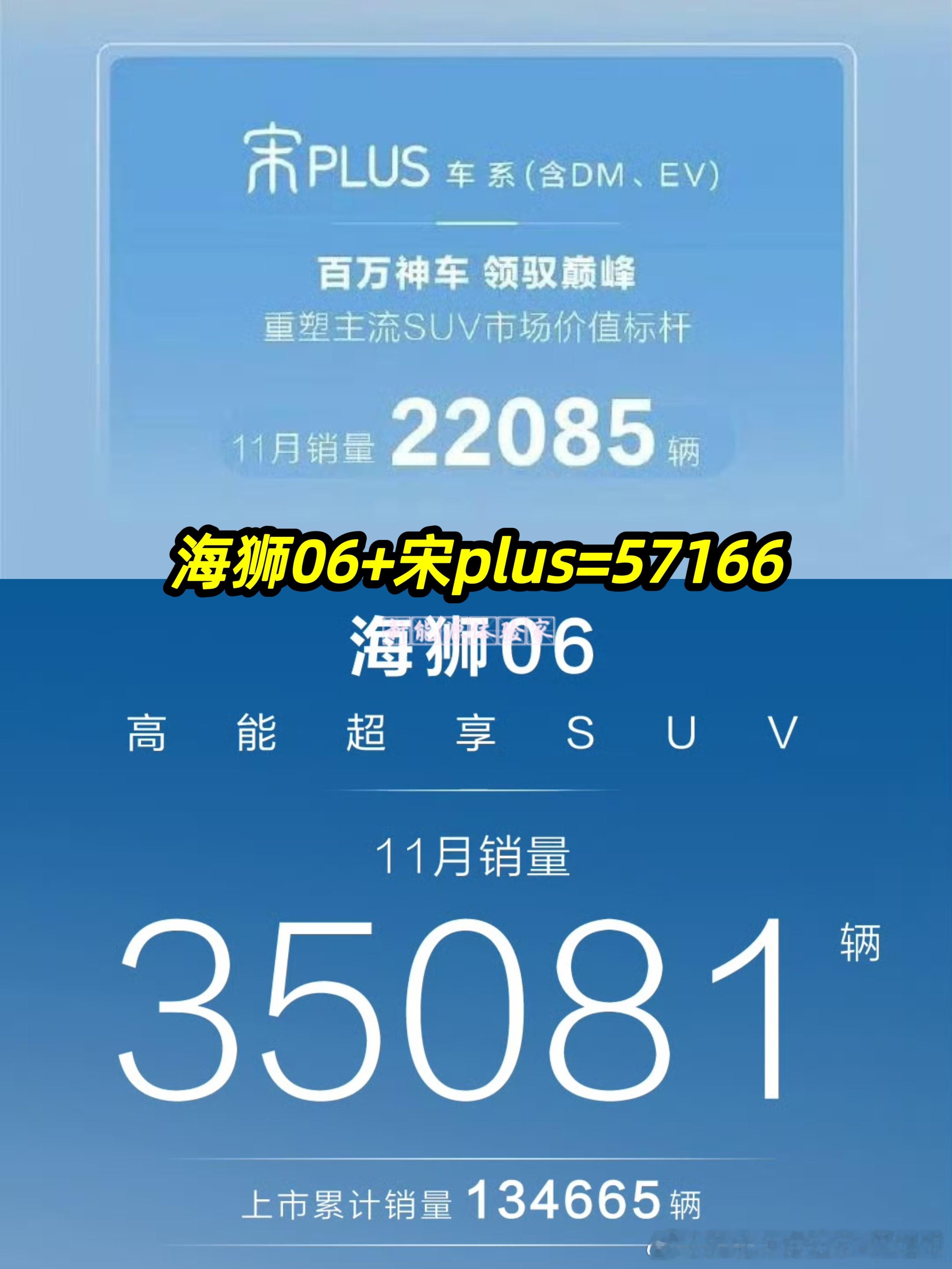 海狮06单月狂销35081辆，成为比亚迪又一爆款，宋PLUS依旧稳站22085辆