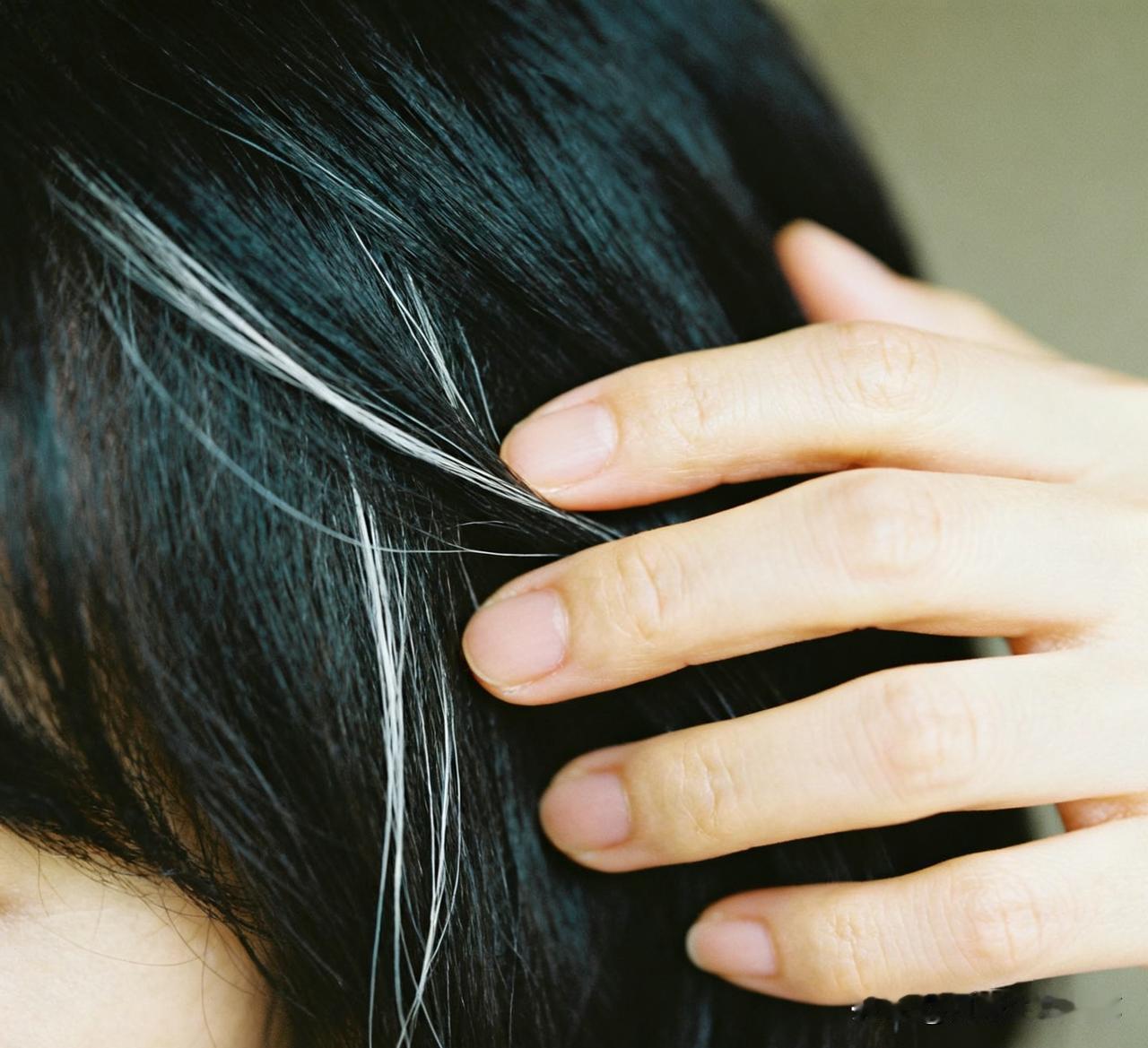 惊！白头发不用拔，这样做可能重新变黑！家人们，长白发别再盲目拔了！研究发现