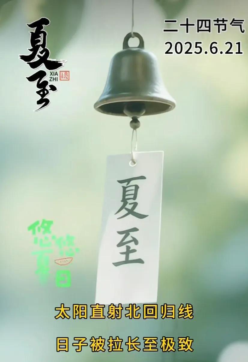 夏至时节，荷花盛开，美不胜收！夏至安康！