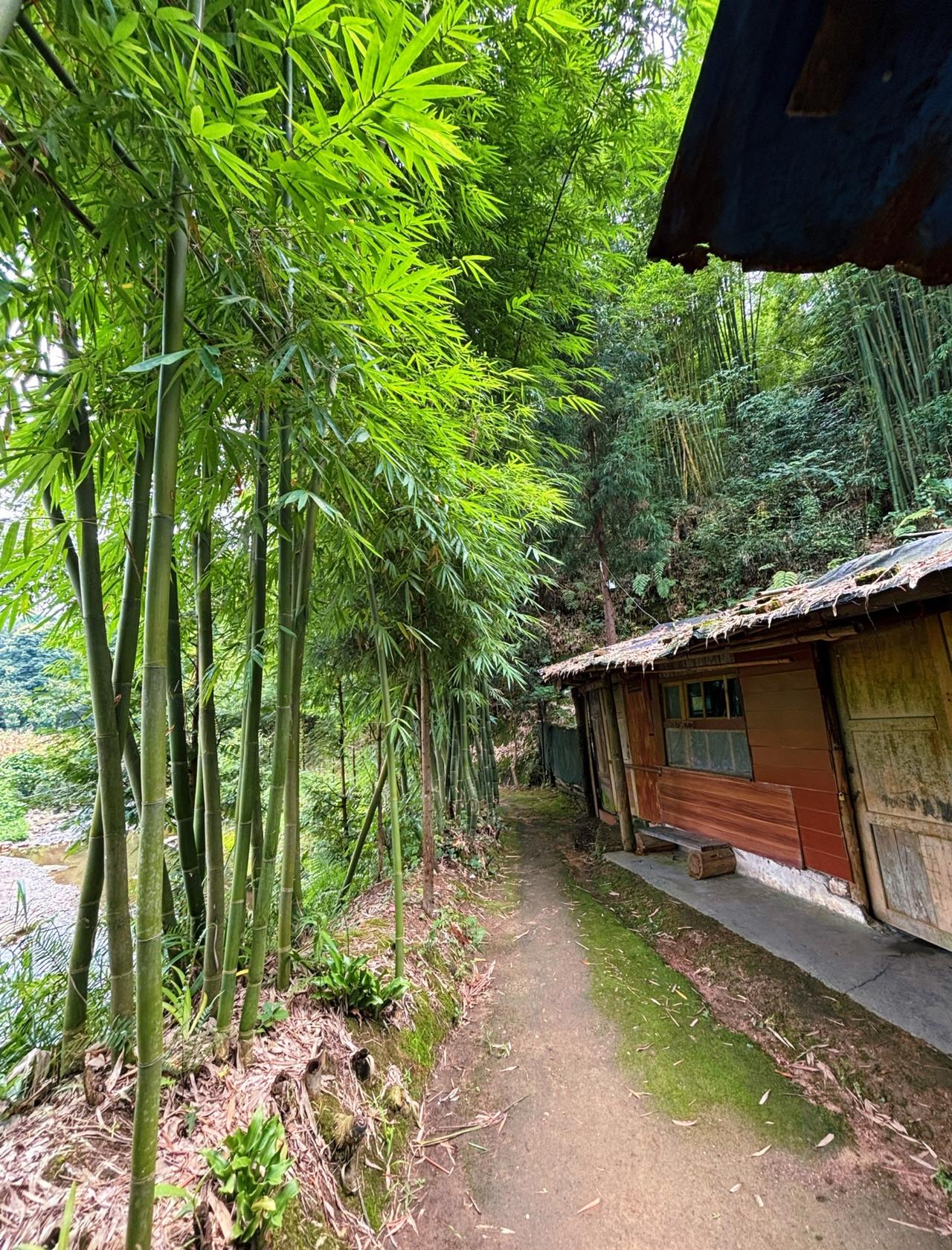 掐着夏日的尾巴，再来一次跟大自然的会晤，此处不仅有茂林修竹，又有清流激湍，修葺事