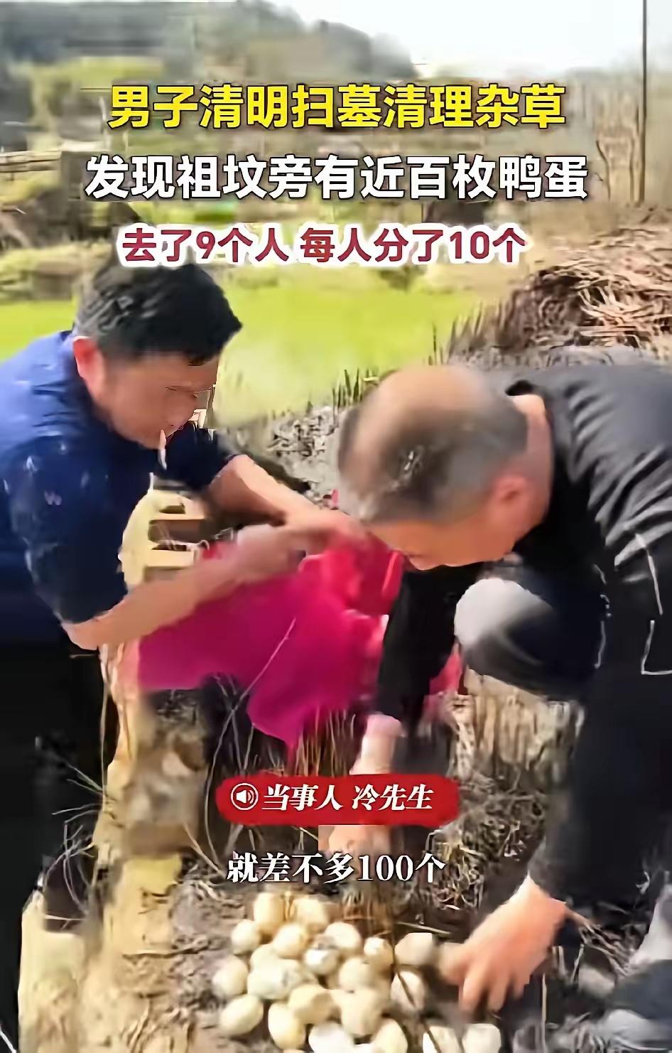 太惊喜了！江西九江一家9口清明扫墓，本来只是安安静静尽份孝心，谁能想到，刚扒开祖