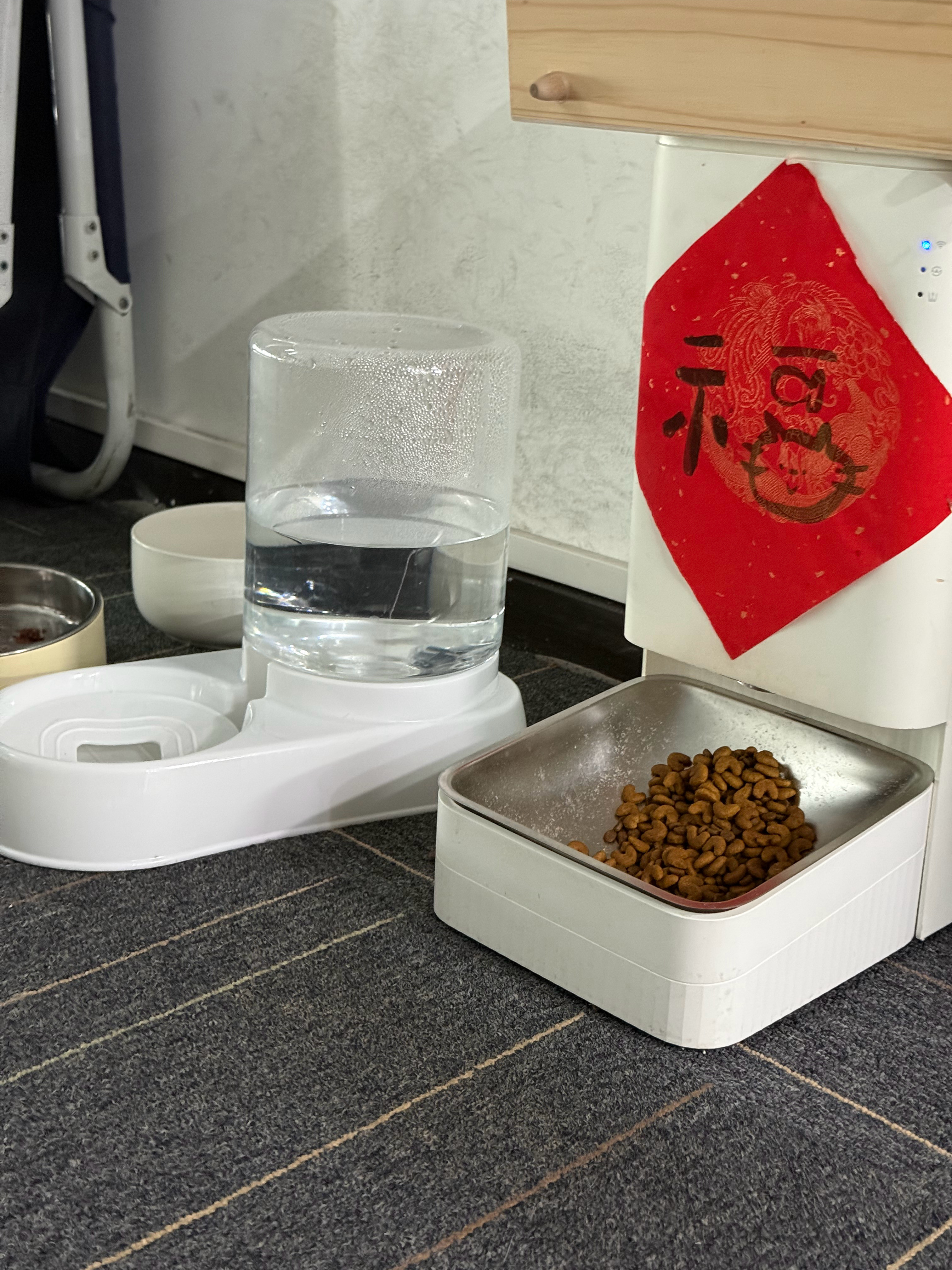养宠家庭有哪些必备家电家电开放麦有些猫不爱喝水，只能靠流动的水来吸引，自动饮水机