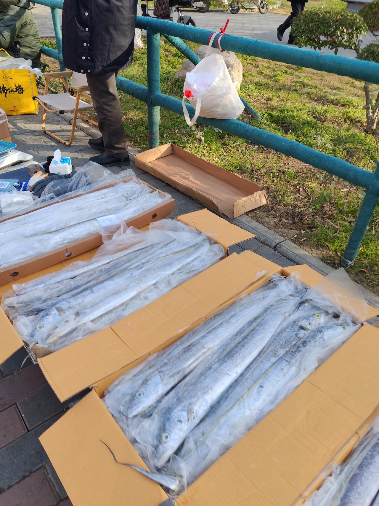 带鱼好像没人买了1月16日，这是我昨天路过西安的一处市场，随手拍下的几张图片，