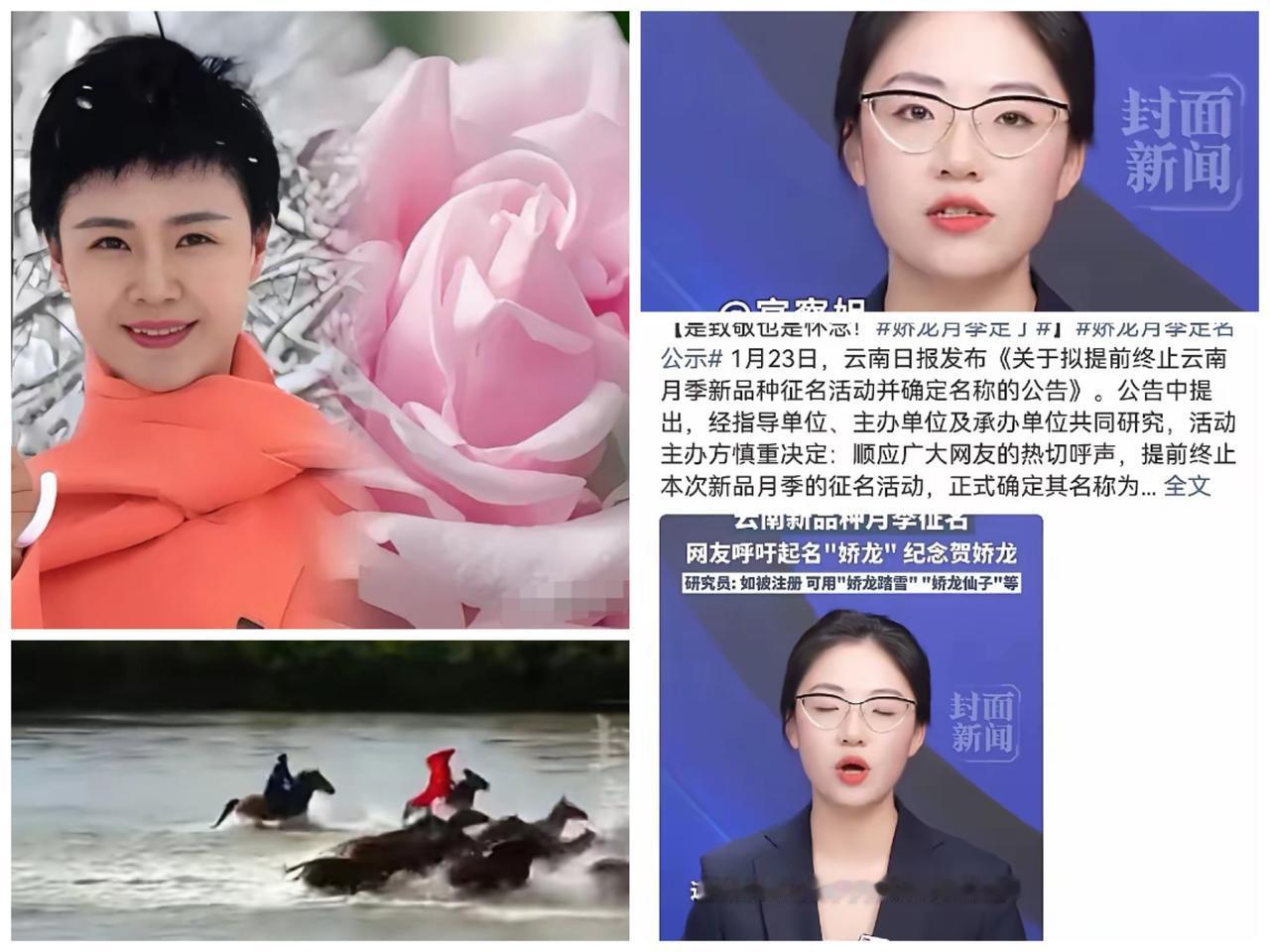 贺娇龙，能瞑目了！离世不到十天，全网用一场最暖心的“命名”，给了她最体面的纪念