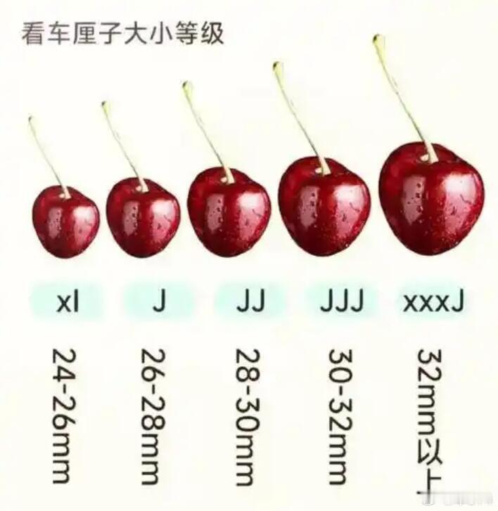 从智利过来，漂洋过海，一个月还能保持新鲜，其实靠的就是3个办法：低温、保鲜剂、缺