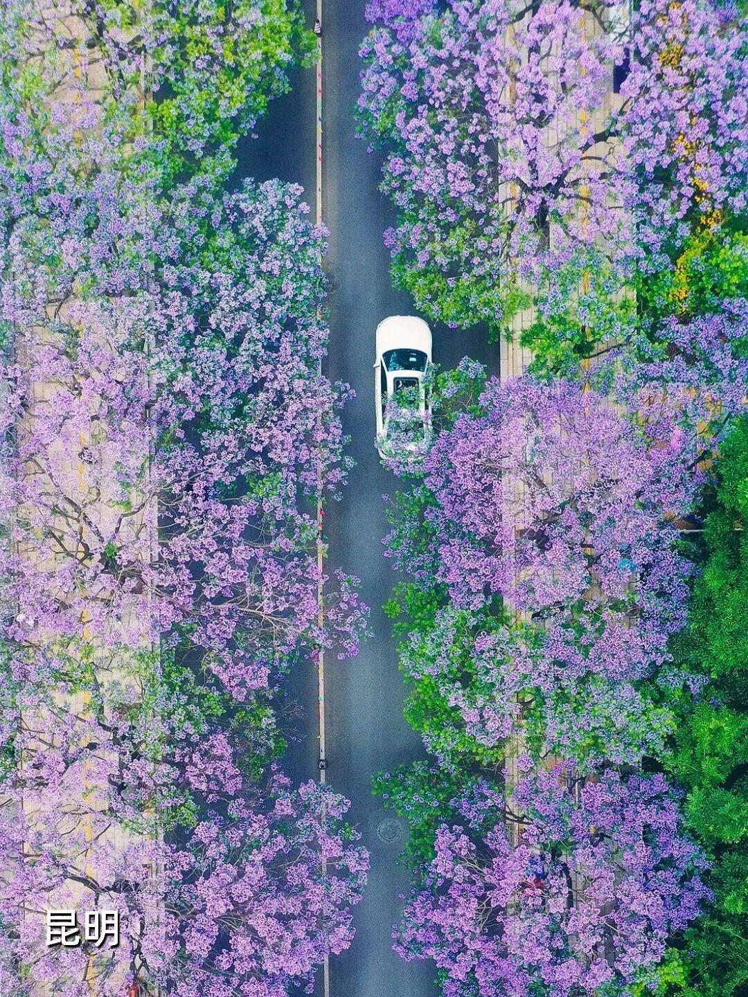 五月的中国，藏着太多值得奔赴的风景。这10个目的地，帮你把初夏的美好一网打尽。