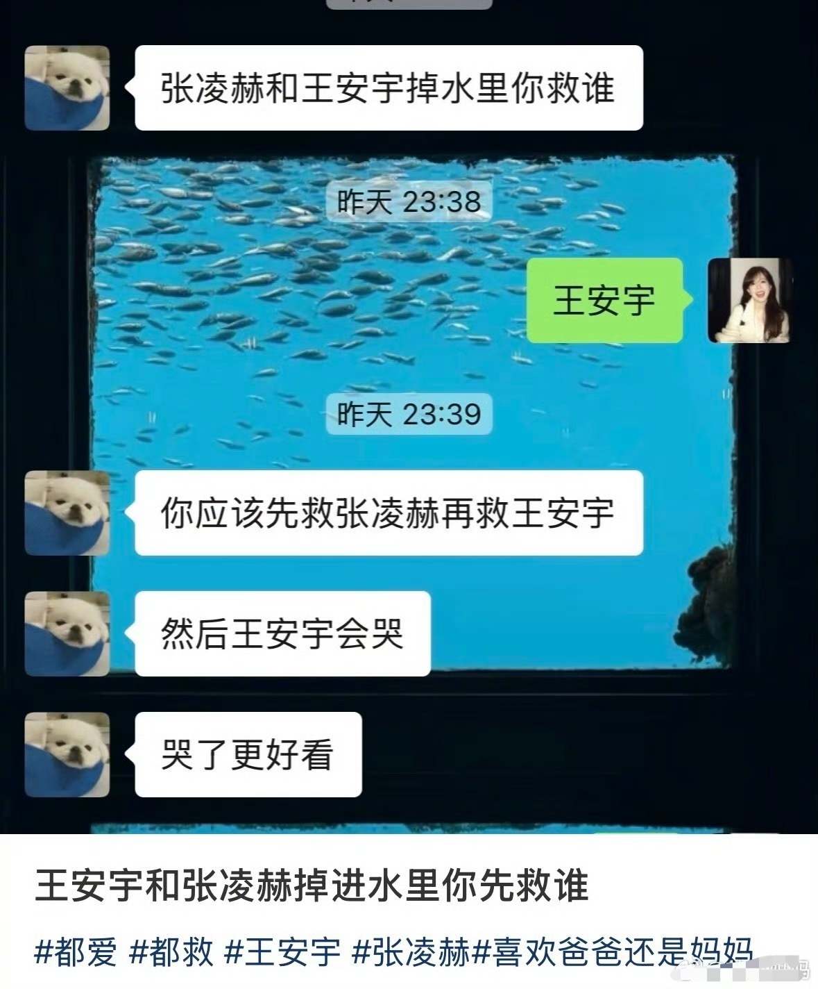 “王安宇和张凌赫掉进水里你先救谁”这个问题的正解是：​​​