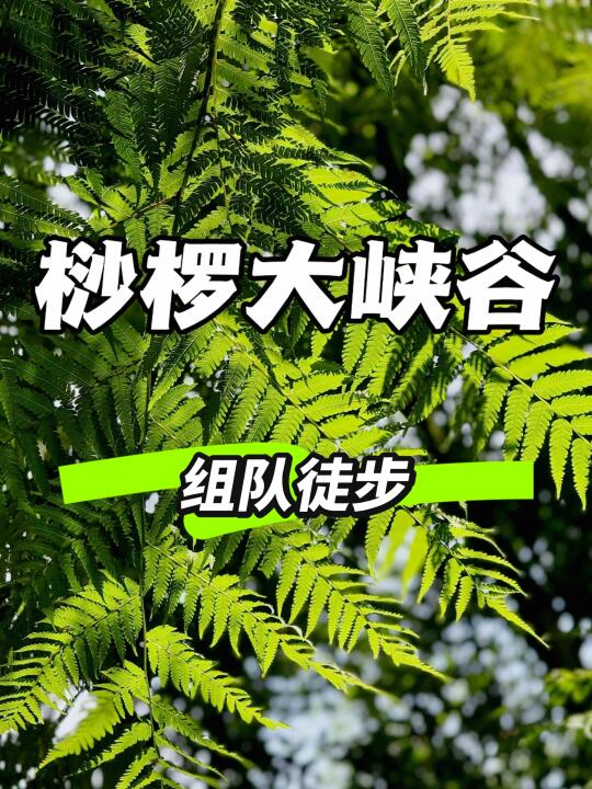 成都徒步加入我们📍实施穿越雨林计划❗