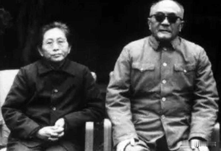 1952年春，时任湖南省委书记的黄克诚，接到了中南局代理书记邓子恢的电话，得到了