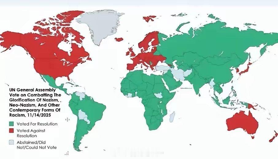 “反对美化纳粹主义”决议案高票通过。令人诧异的是几乎整个西方国家都投了弃权和反对