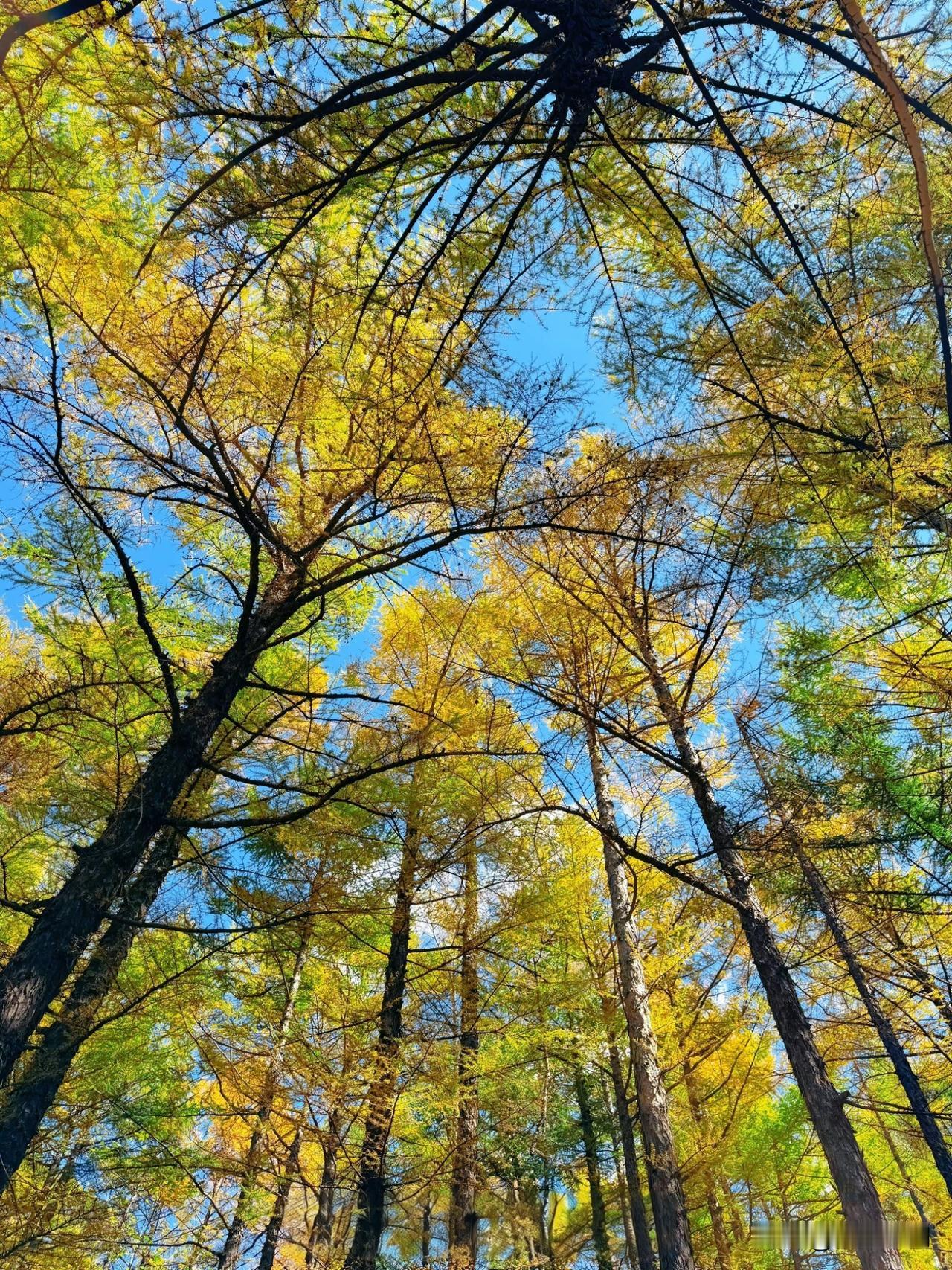 表弟今年48岁，在基层岗位已经干了25年，最近专门来找我，说有件很纠结的事，让帮
