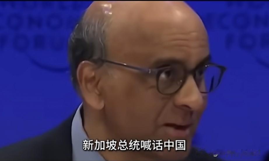 新加坡总统最近发表的一句话，说得可真是“掏心窝子”。大概意思是：“我们不希望