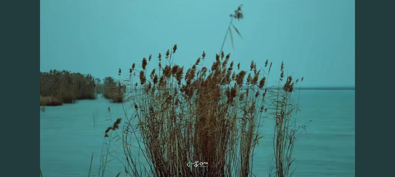 沙漠的尽头，真的有这么漂亮的芦苇吗？仍船其中，湖水清扬，该是多么美不胜收的