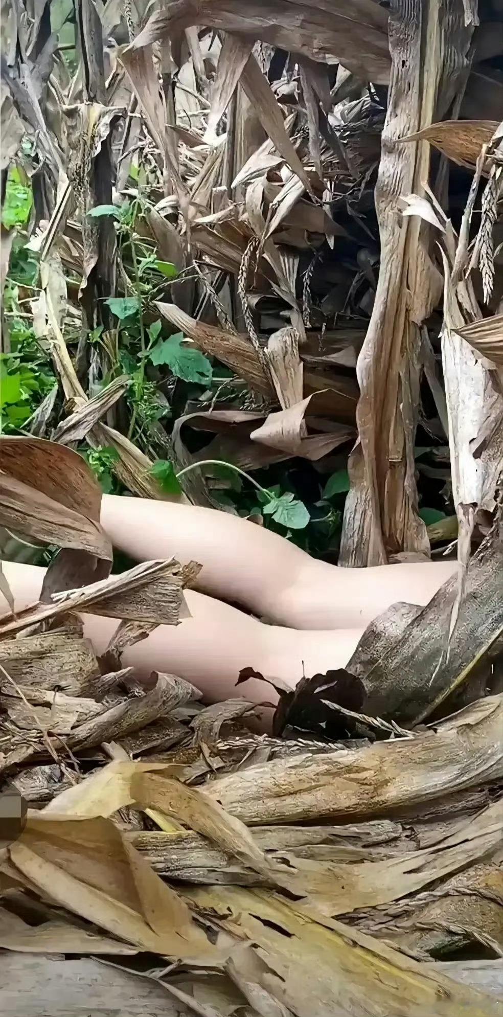 上联：一地枯叶当佳辰下联：​​​​