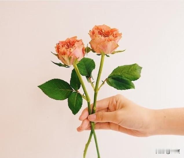 生活不是为了赶路，而是为了感受路。‌‌活在当下就好，不要预支明天的烦恼。