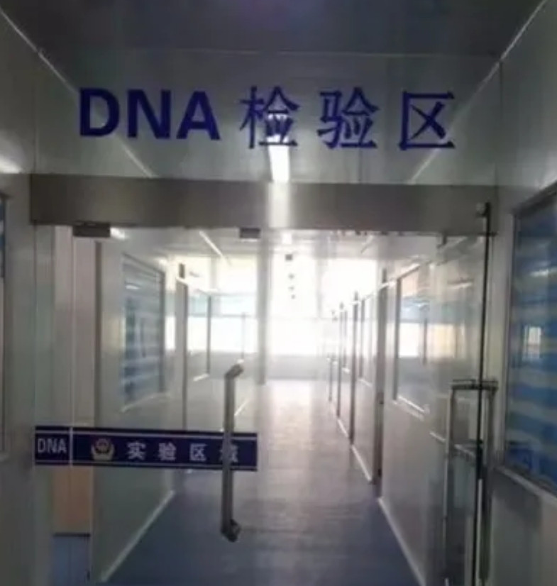 我和老公刚结婚就怀孕了，孩子出来后婆婆觉得不像我老公要求做亲子鉴定，我说要做也可