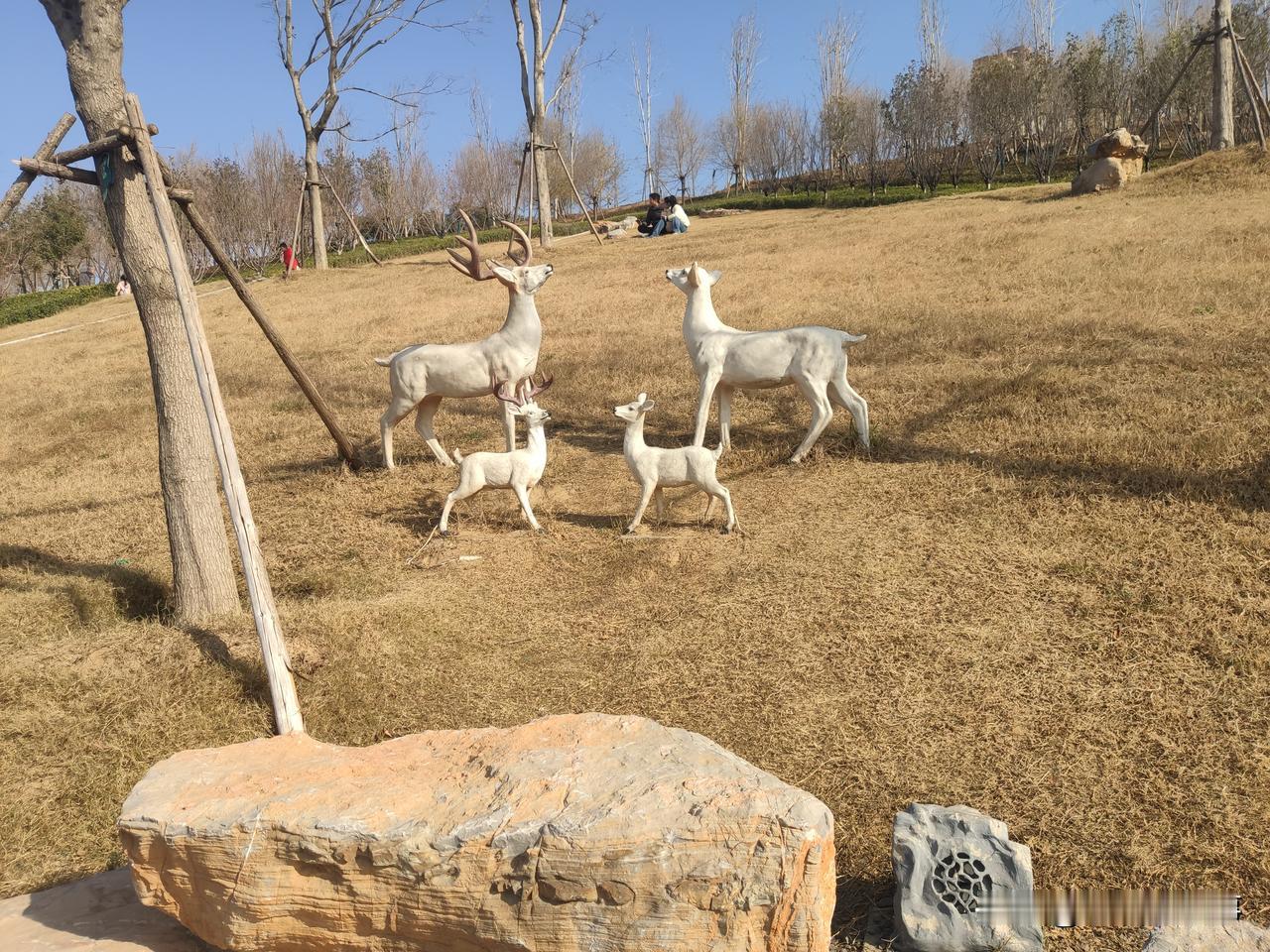 今天小区邻居家发生一件令人痛惜的憾事儿，一位五十多岁的老先生在家睡觉的时候从床上