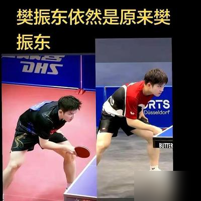 邱党跟樊振东合练居然练到瘫？邱党接受德媒采访说，日常合练练完前几组就累瘫，转头看樊振东却像没事人一样
