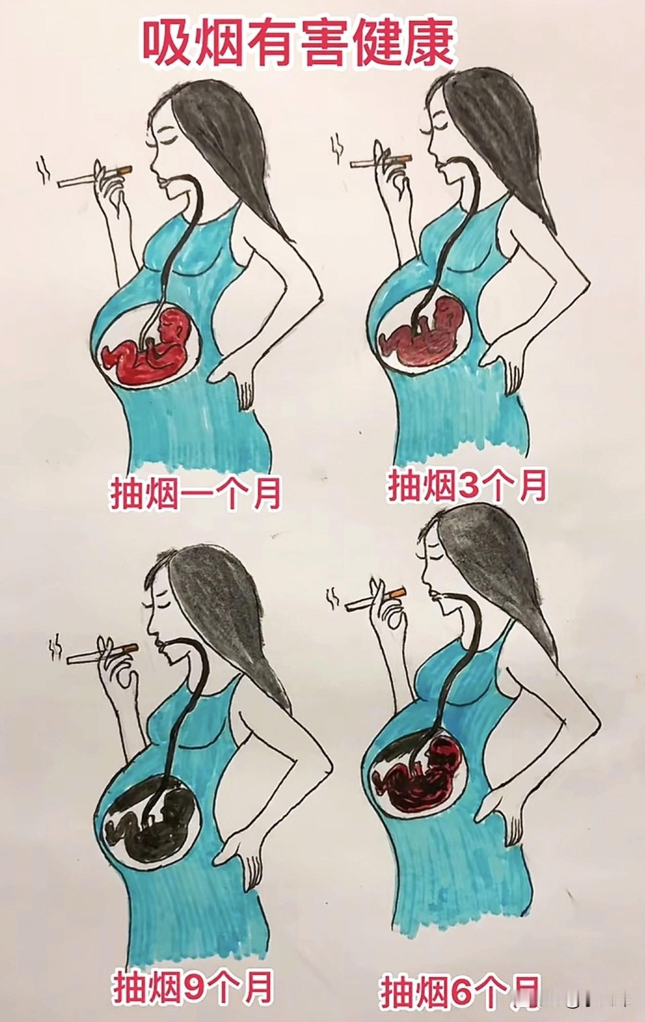 吸烟对胎儿的影响：一个月、三个月、六个月、九个月对比图