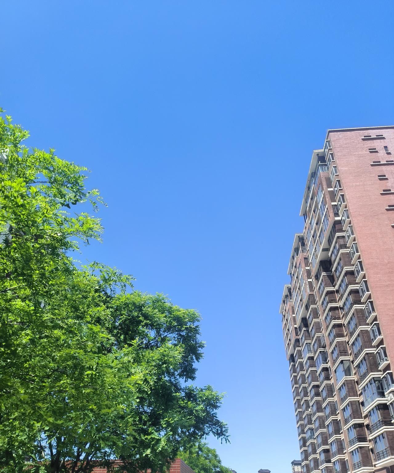 我媳妇说要到我们公司来上班，我说这可不行啊，因为我都想辞职呢。我们俩在不同的两家