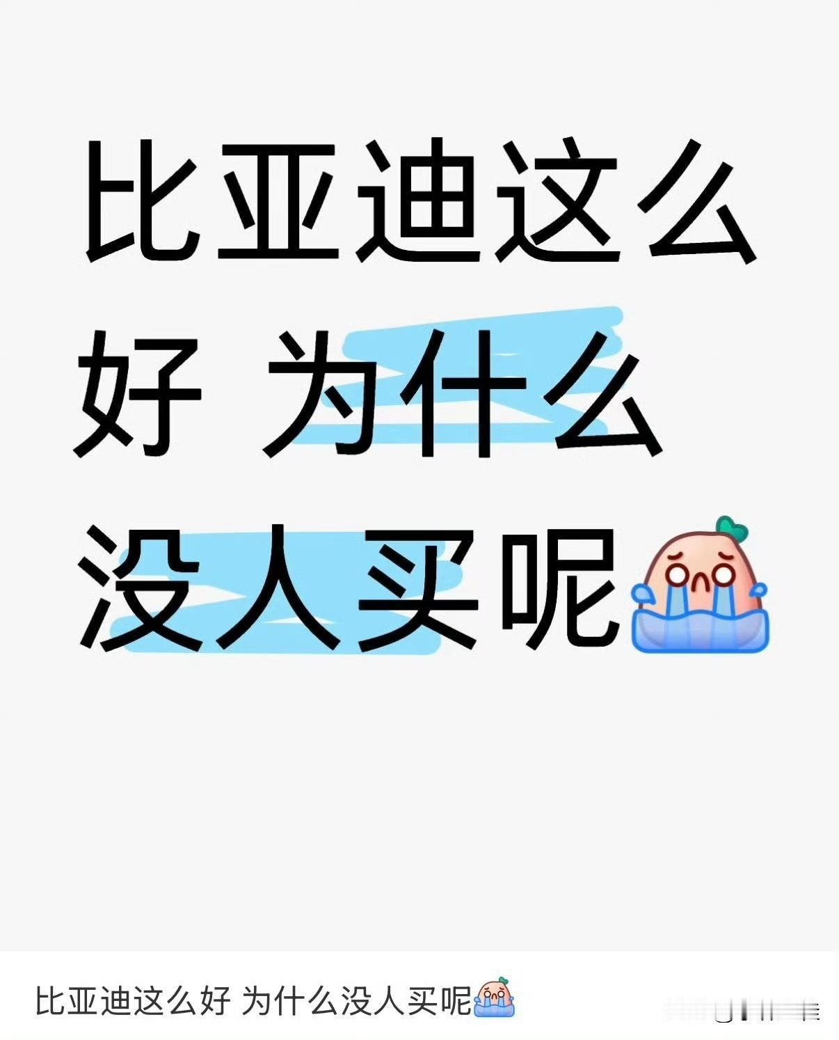 网友：“比亚迪这么好，为什么没人买呢？”这是啥惊天言论啊？看到这句话时，小编都