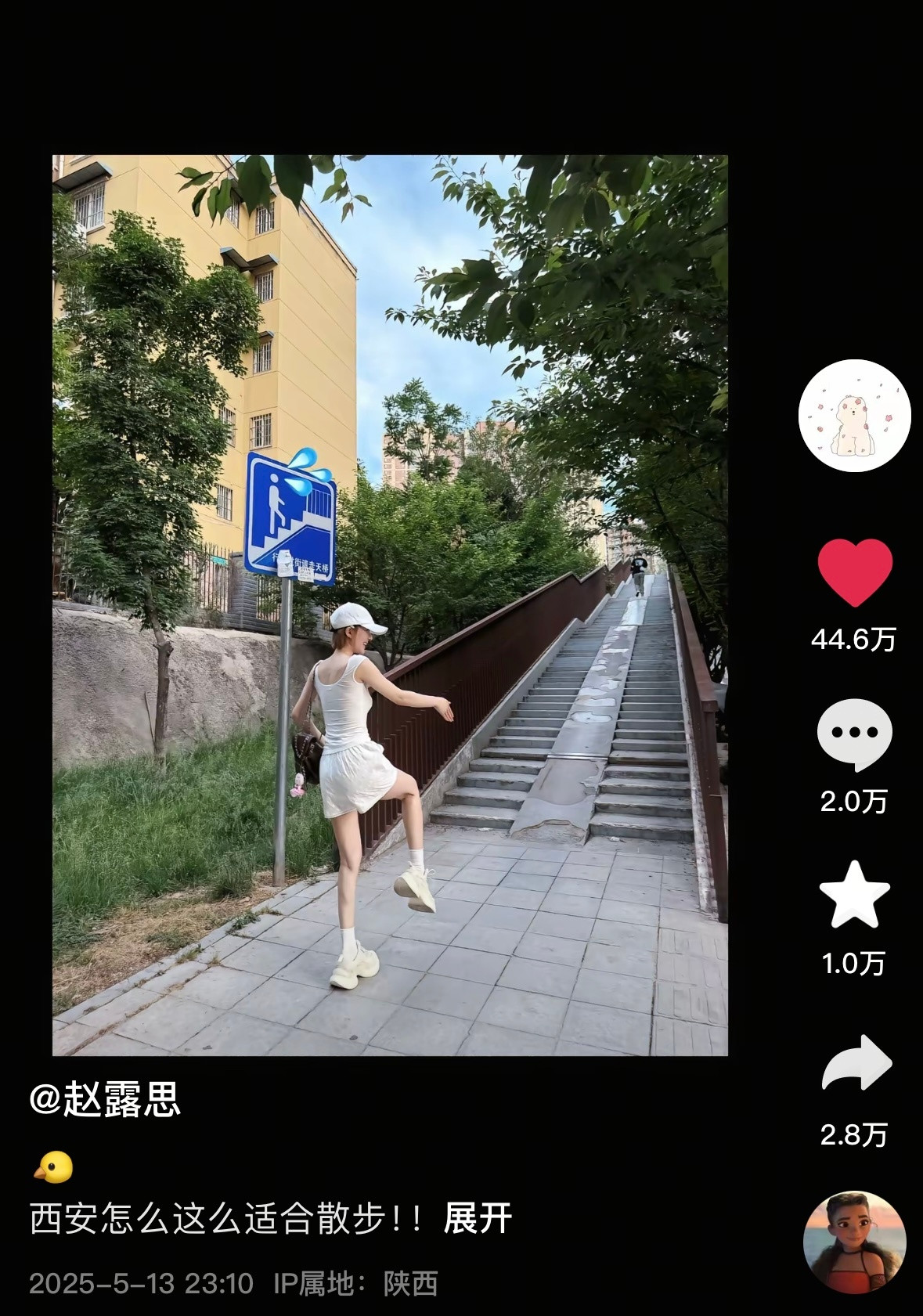 素的…这素我…这是小鸡！不是小鸟！不是麻雀！是小鸡！🐤​​​