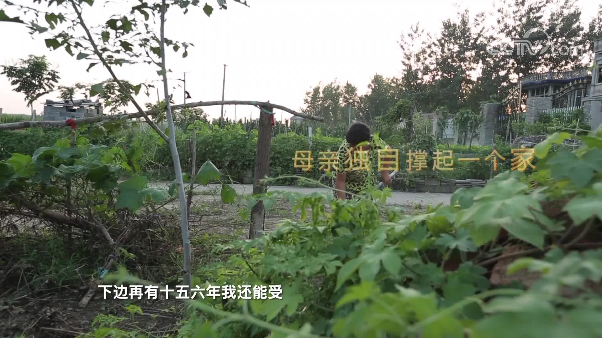 2009年cctv7农业节目宣传片