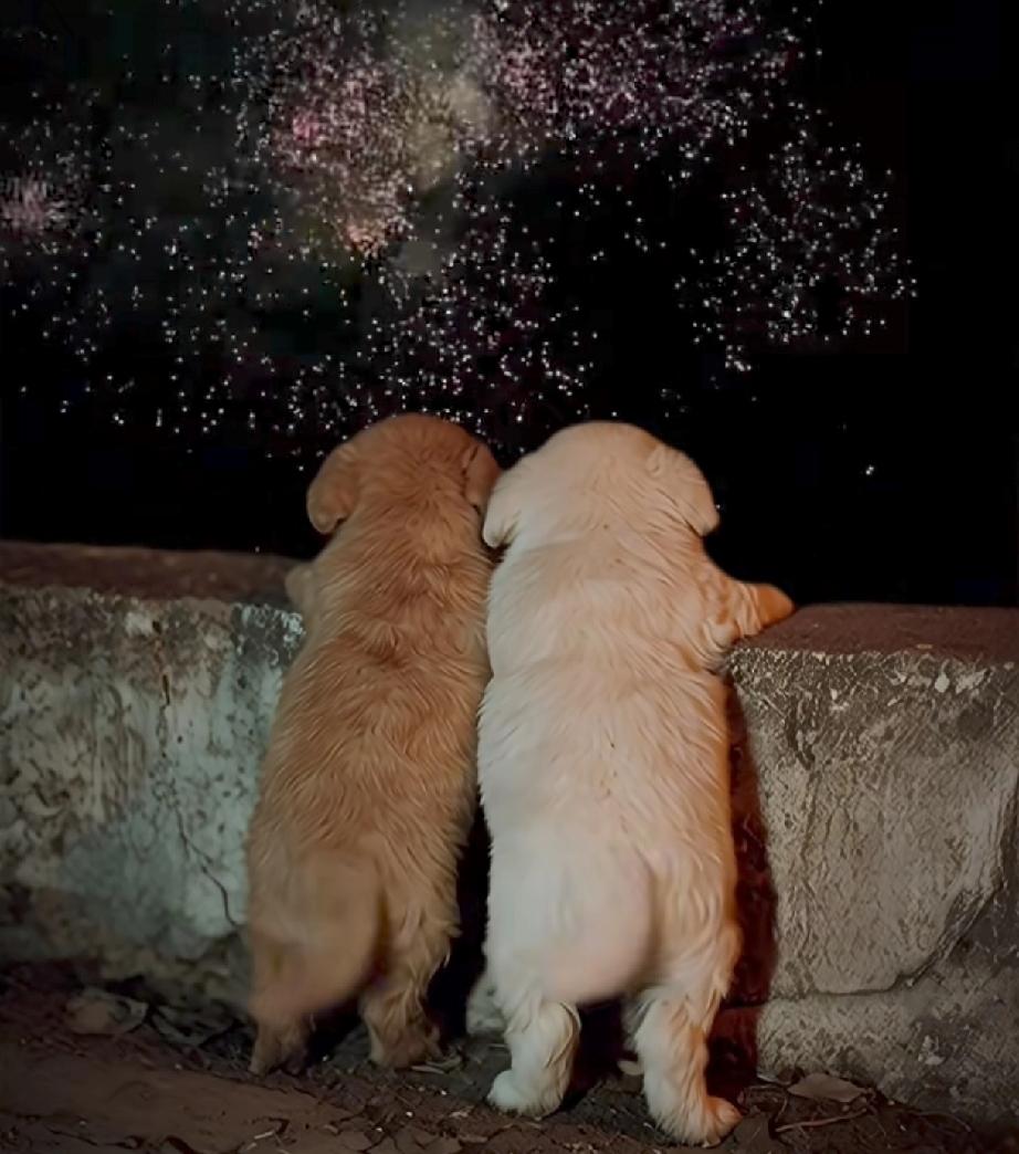 对于中国90%的人来说，信任瑞士银行跟不信任瑞士银行就是个伪命题，因为他跟你一点