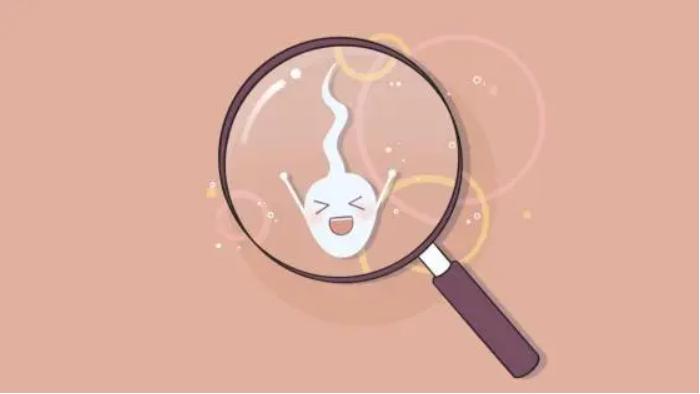你知道吗？如果男性精子长期不排出体外，就会被免疫细胞吸收 很多人听到这句话，