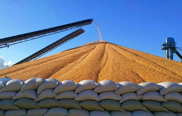 我国如果不进口粮食，可以自给自足吗？我算了下，全球粮食除去产粮国自用，每年交易总